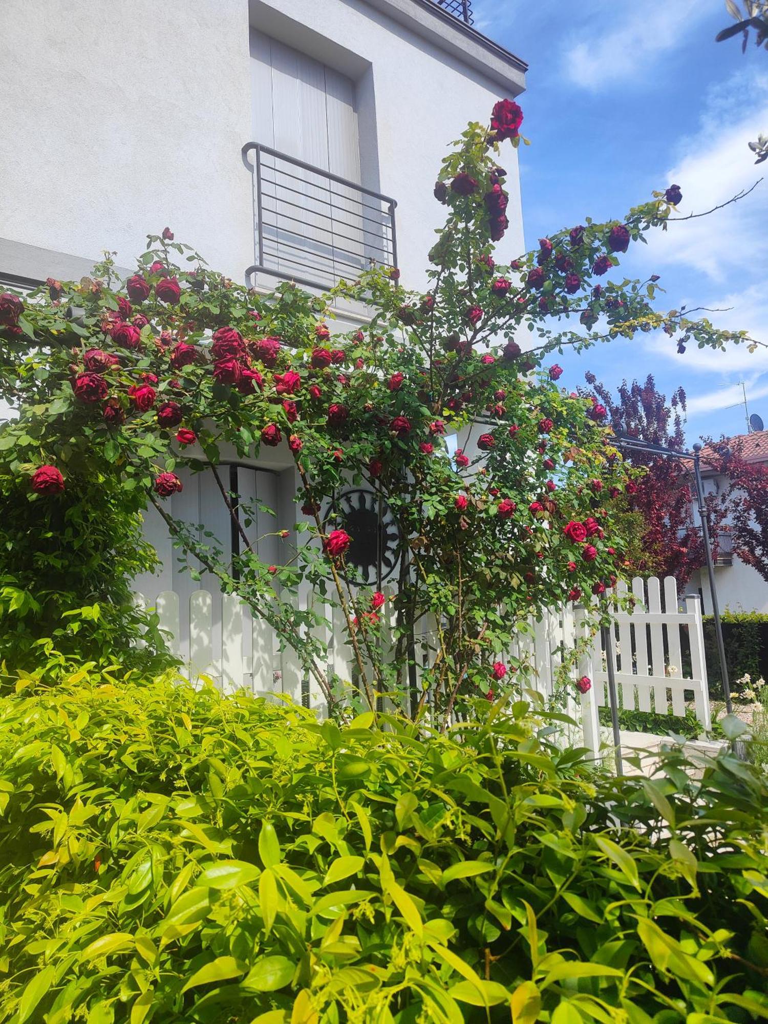 Villa Marianna Garda Lake Peschiera del Garda Exterior foto